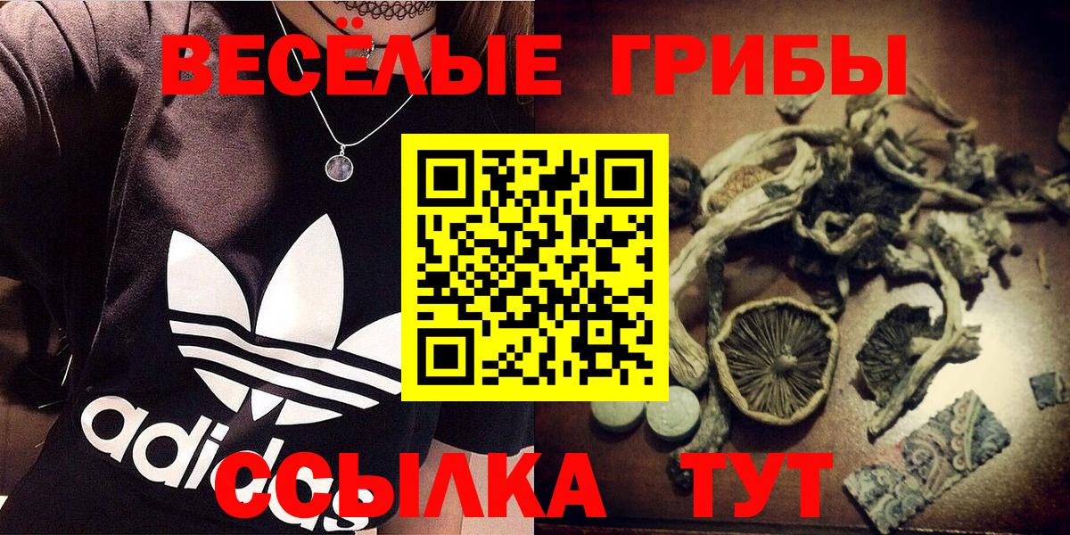 Псилоцибиновые грибы ЛСД  Вход с VPN  Мыски  Псилоцибиновые грибы Magic Shrooms 
